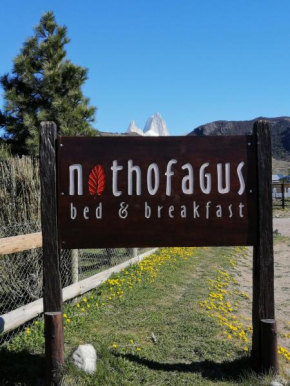Гостиница Nothofagus Bed & Breakfast  Эль Чальтен 